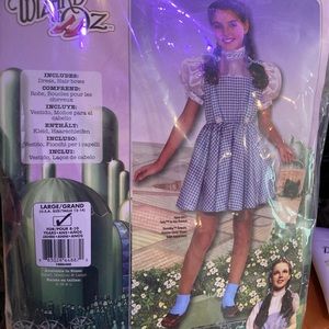 Worn once - adult Dorothy costume. Also comes with Toto in a basket.